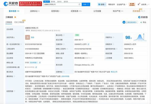 成都航空增資至20億 以信息技術咨詢服務為翼，展翅高飛